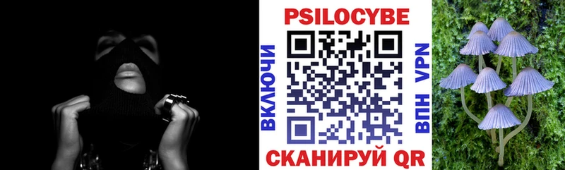 МЕГА ТОР  Сланцы  Псилоцибиновые грибы Psilocybe 